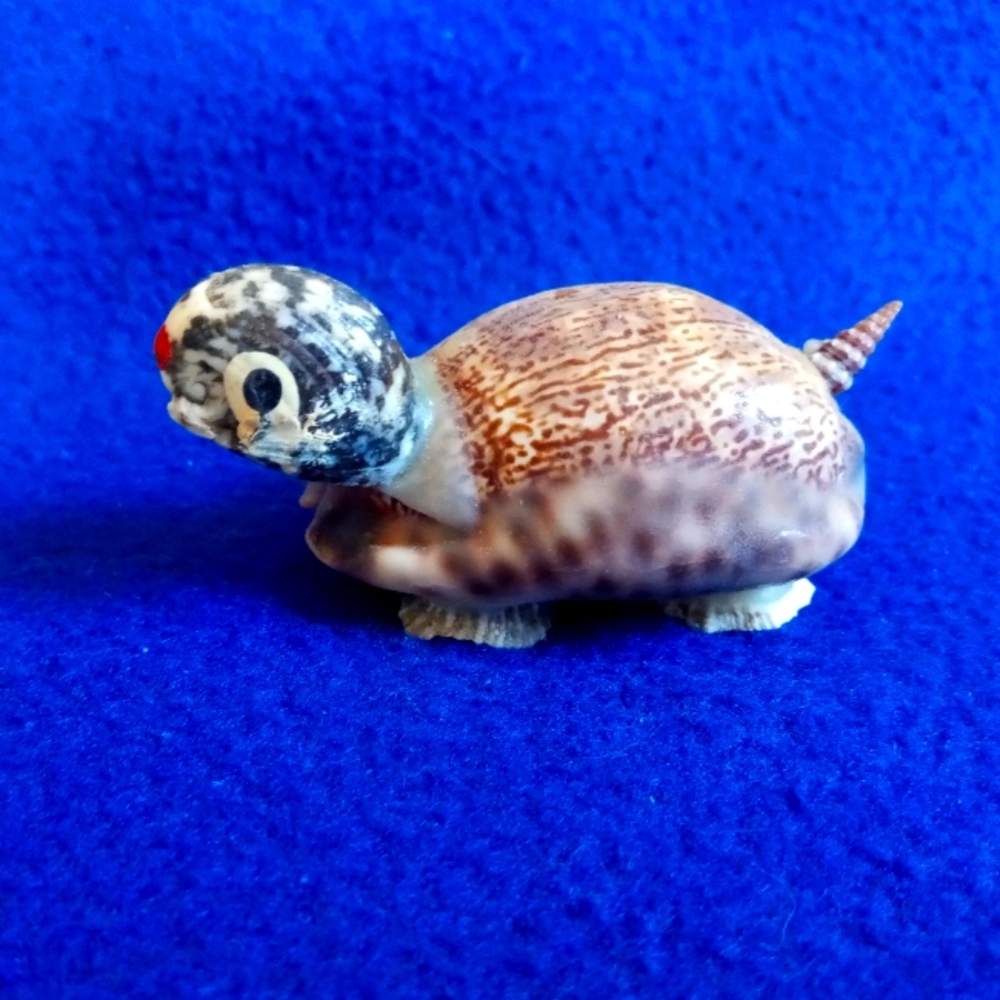Seashell Turtle